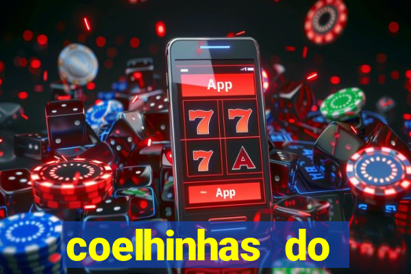 coelhinhas do brasil recife